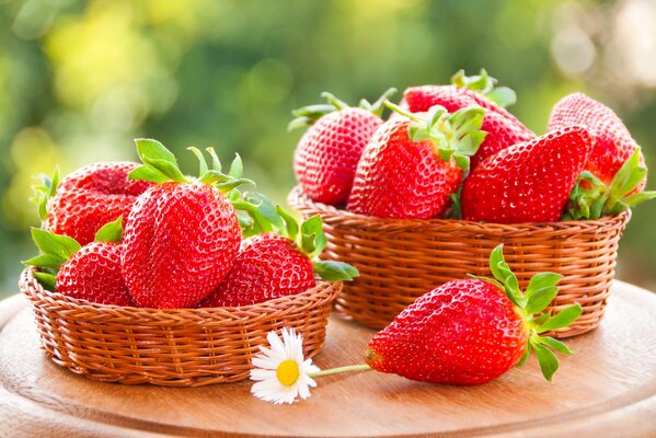 Cestas de fresas frescas de verano