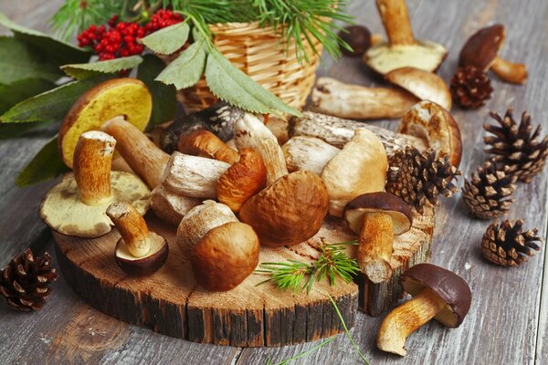 Champignons frais, cônes et baies de sorbier dans un panier