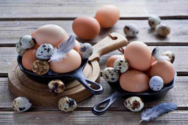 Quail and chicken eggs on a plate