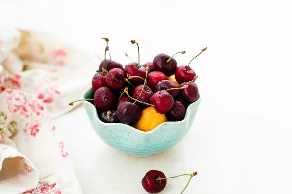 Beeren Früchte Kirschen Aprikosen