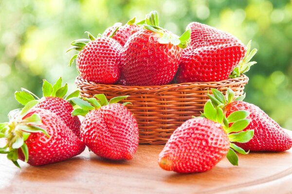 Korb mit reifen saftigen Erdbeeren
