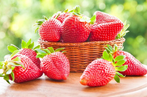 Panier avec des fraises juteuses mûres