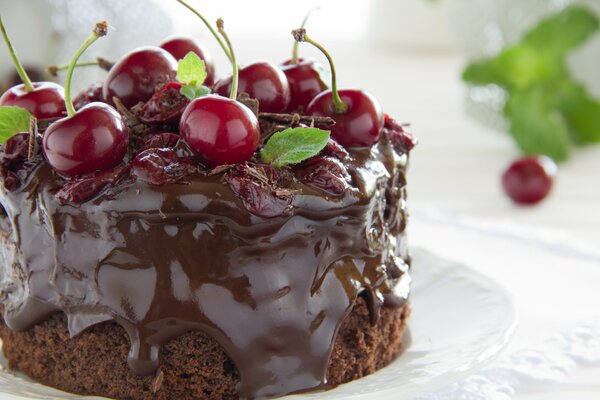 Cherries with mint on a chocolate cake