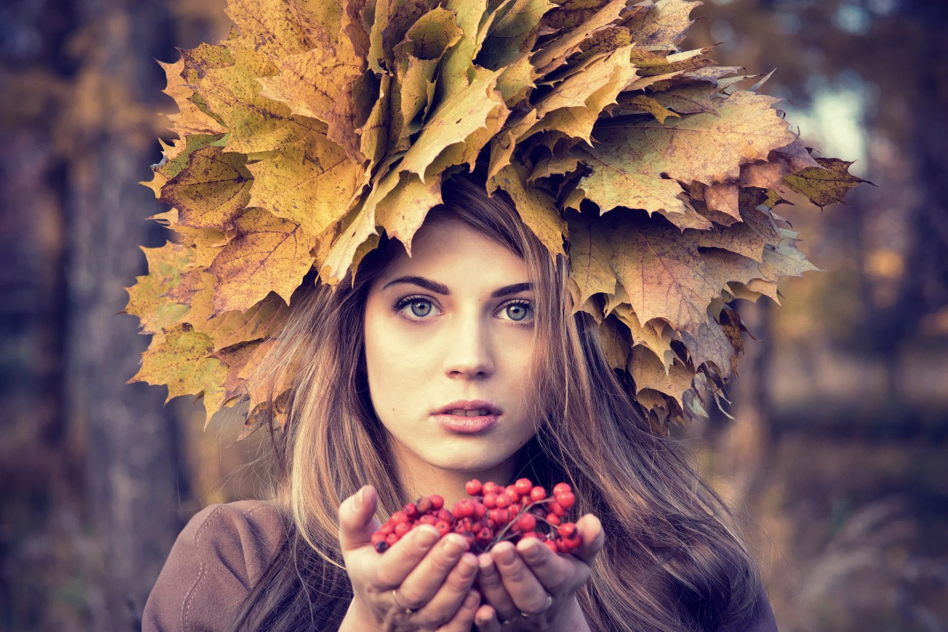 autumn portrait berries rowan leave