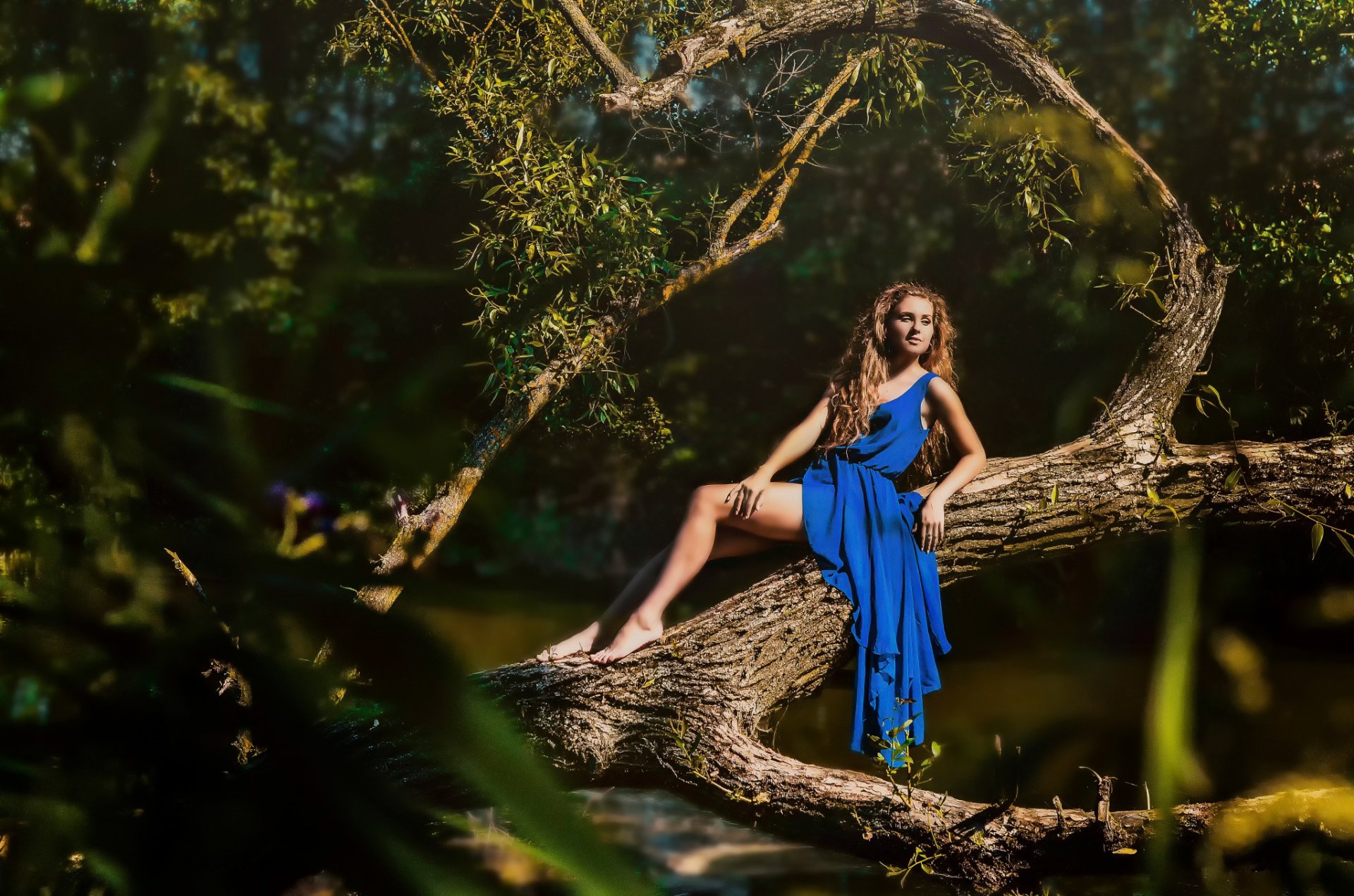 sommer sonne mädchen in blau kleid baum