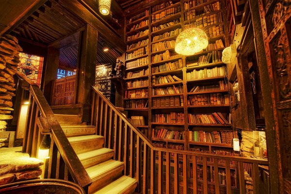 Book room with wooden shelves and a ladder