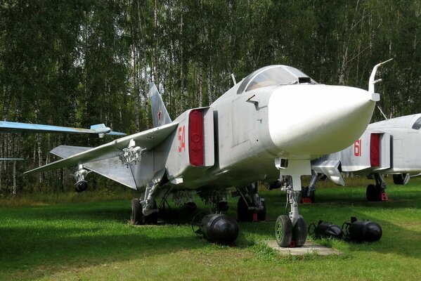 Soviet Russian plane on the background of birch trees