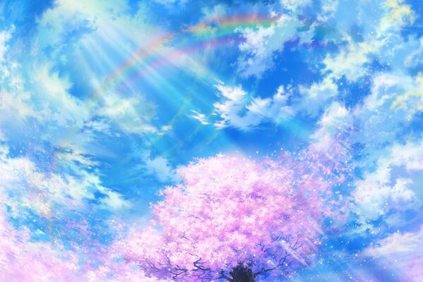 Pink sakura on a blue sky background