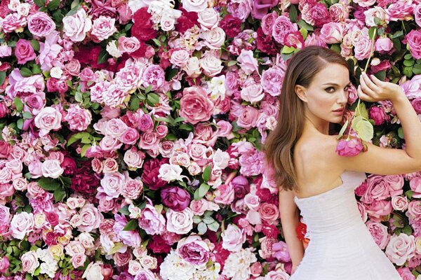 La actriz de pelo oscuro Natalie Portman en el fondo de las rosas en un vestido blanco