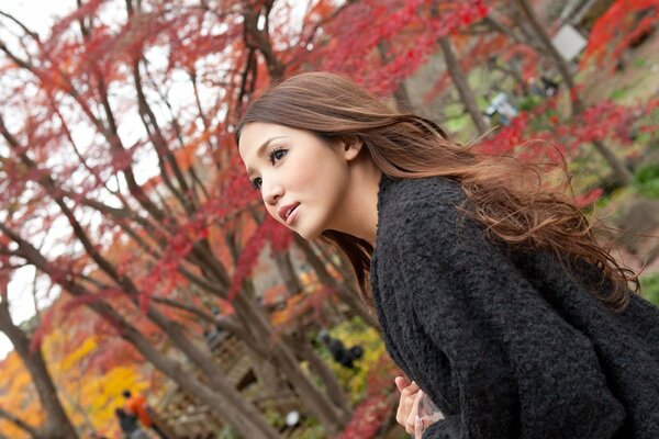 Cheveux longs asiatique dans le parc d automne