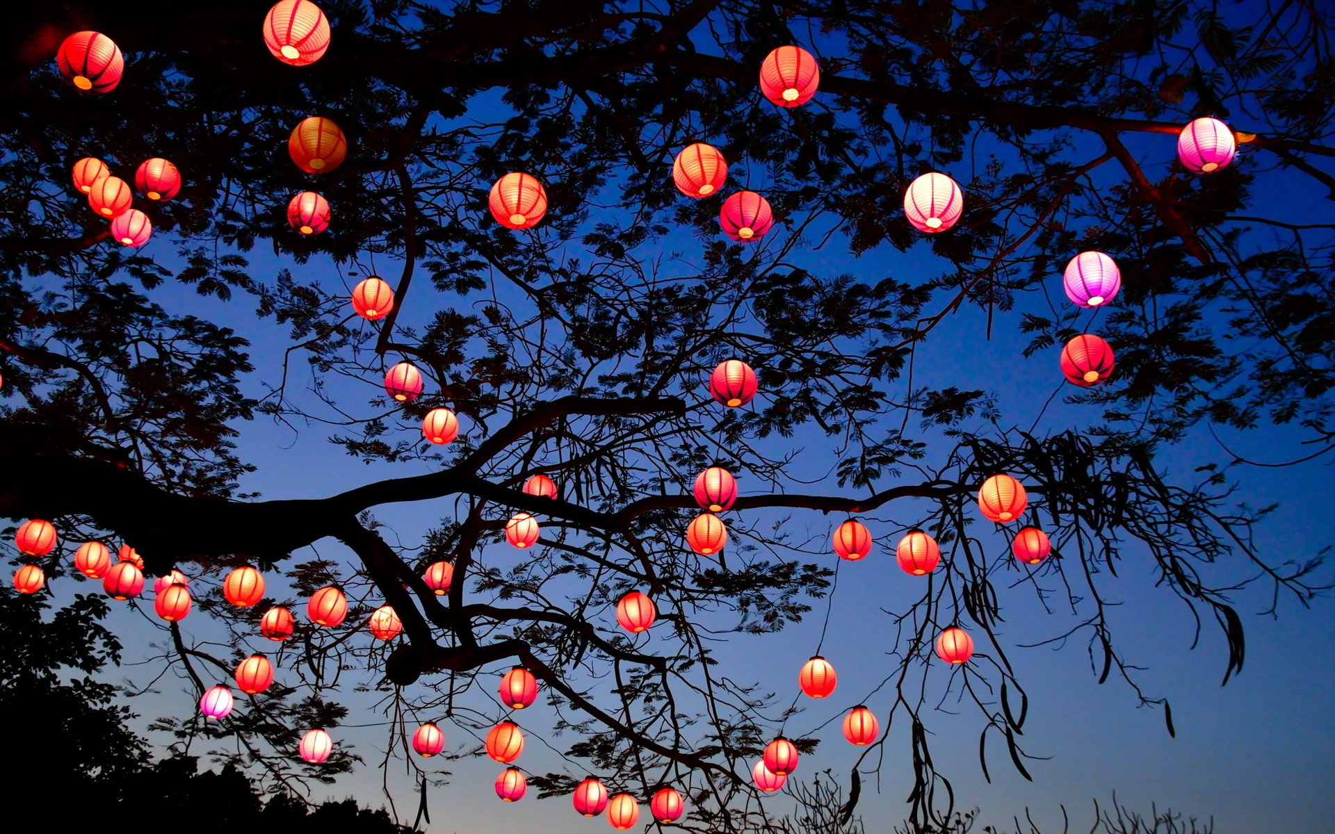 noche árbol lámpara