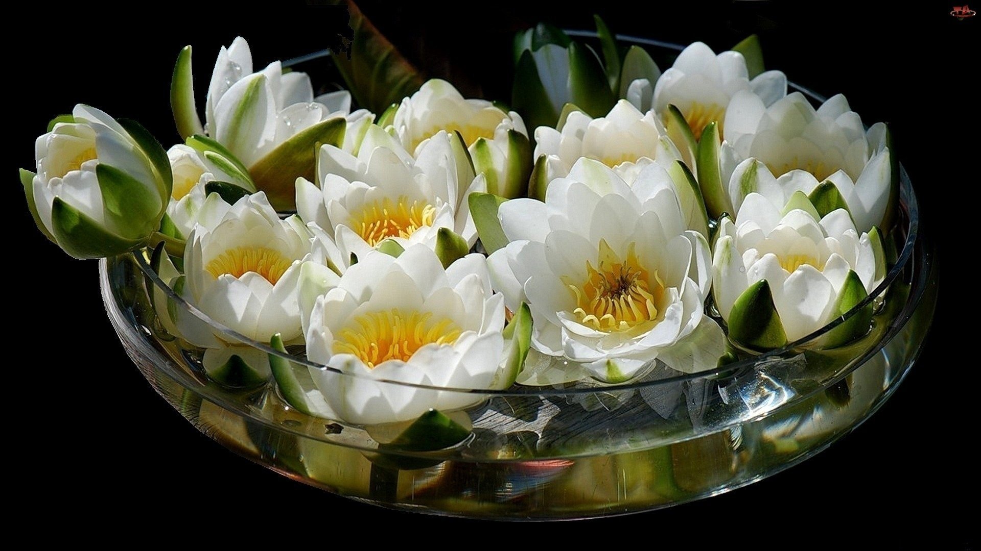 bouquet flowers vase lotus water