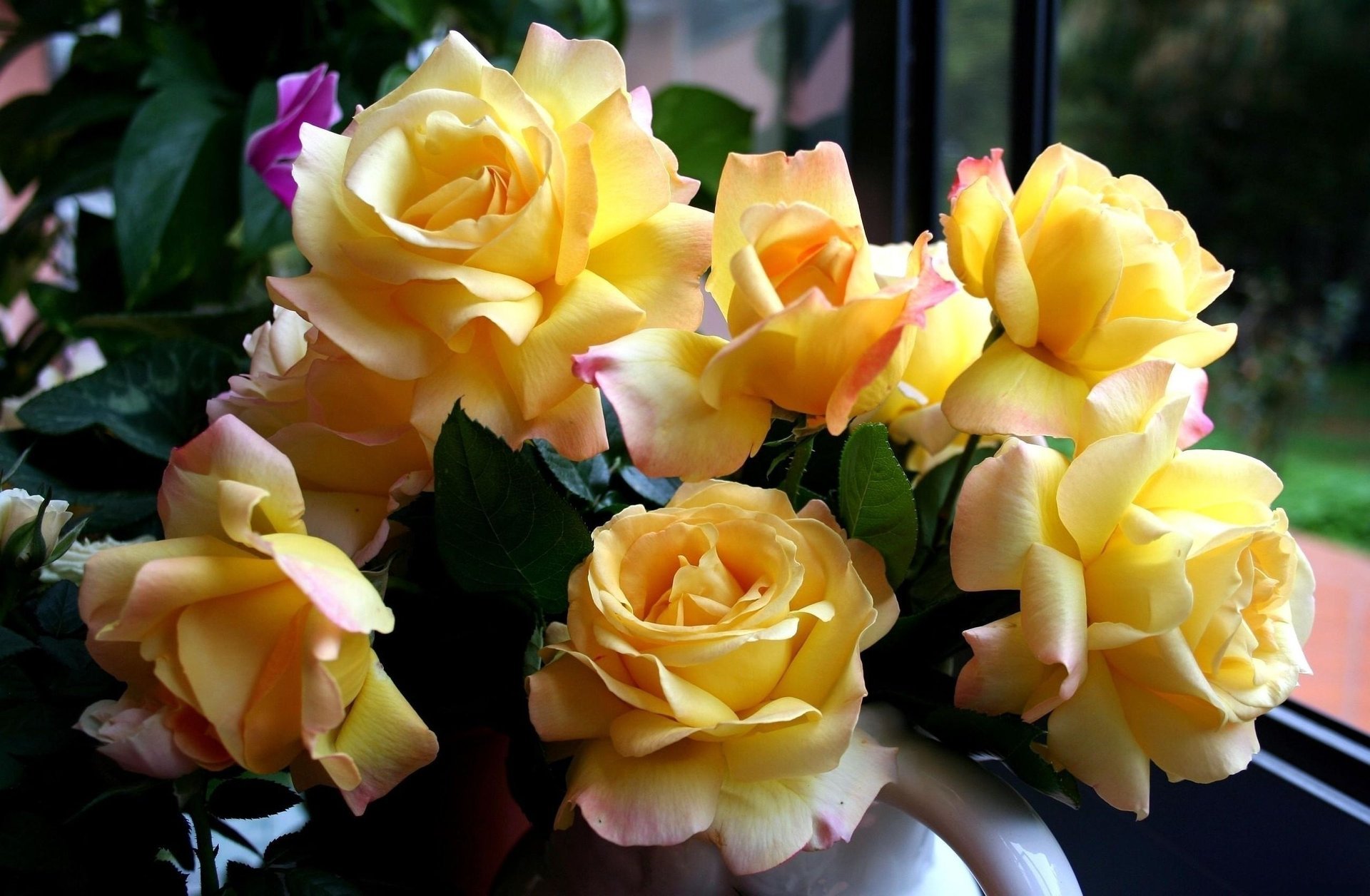 roses fleurs jaune bouquet belle