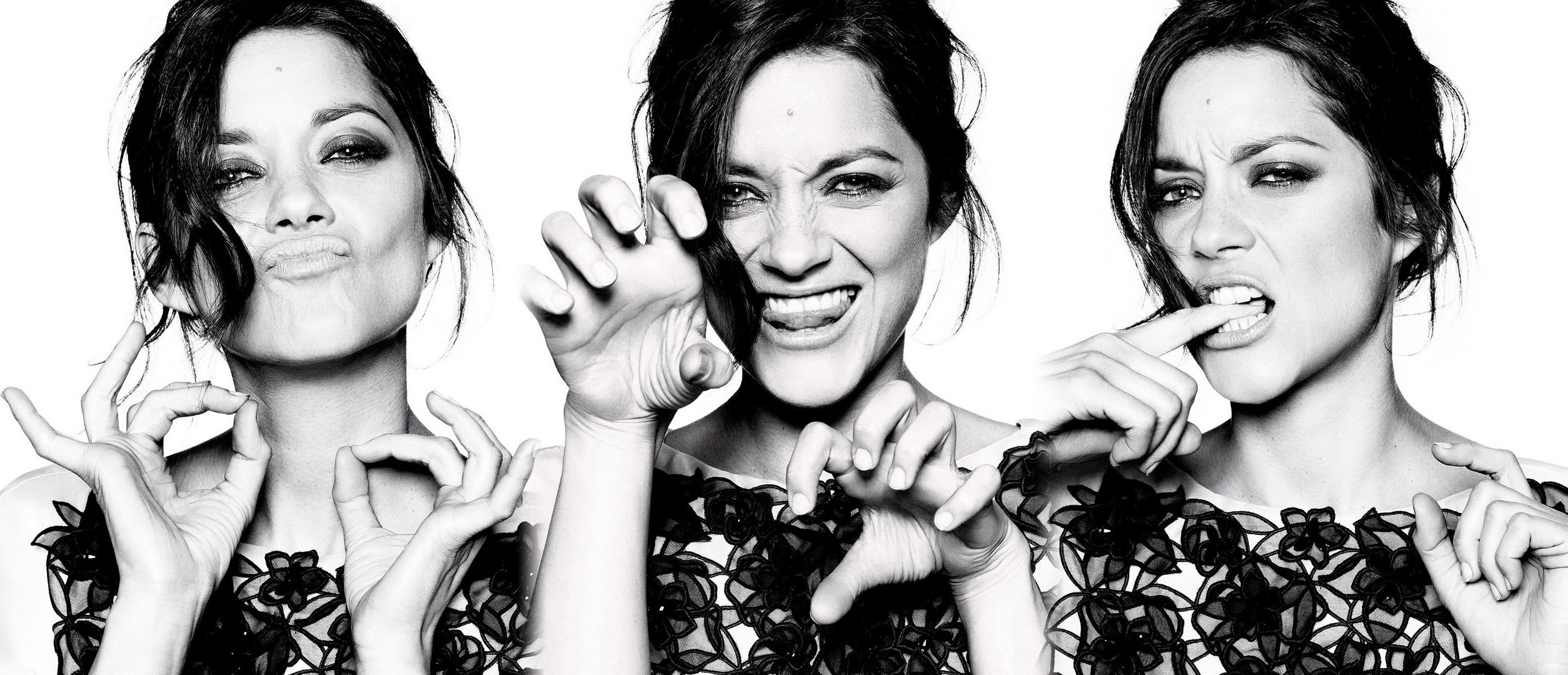 marion cotillard attrice bh