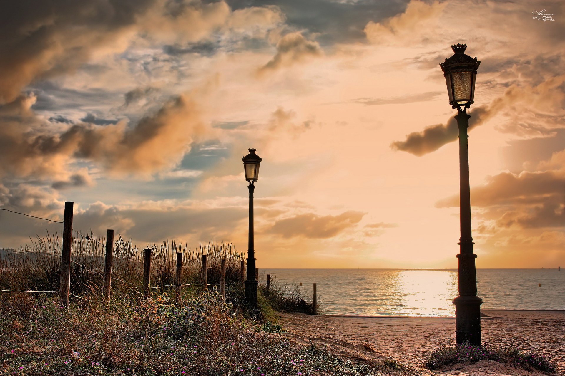 flowers the city the bushes spain the fence beach sand shore