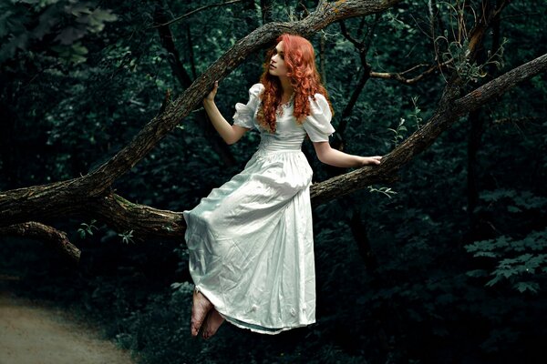 Rossa ragazza Polina nel bosco su un ramo