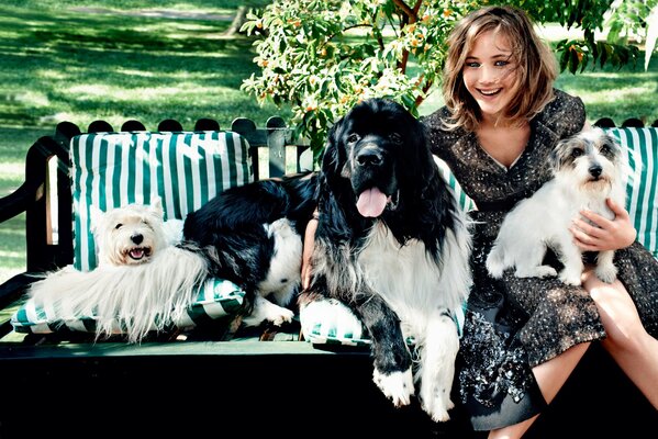 Jennifer Lawrence avec des chiens