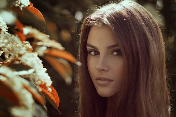 Beautiful girl with brown hair