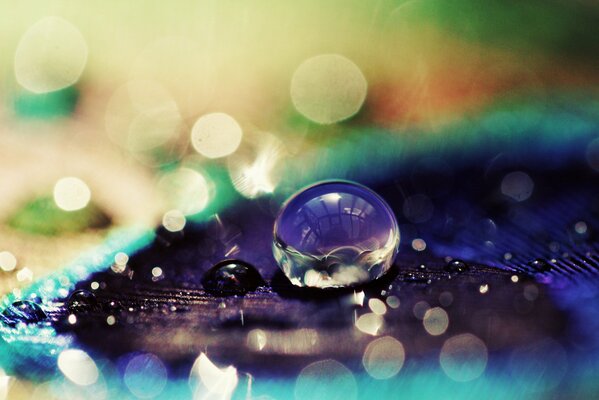 Macro photography of water droplets on a blue and purple background