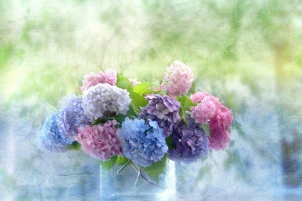 Hortensia en la ventana. Bodegón con flores