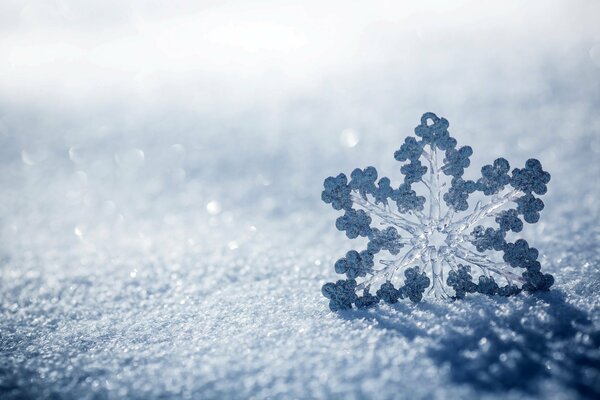 Macro copo de nieve en invierno en la naturaleza