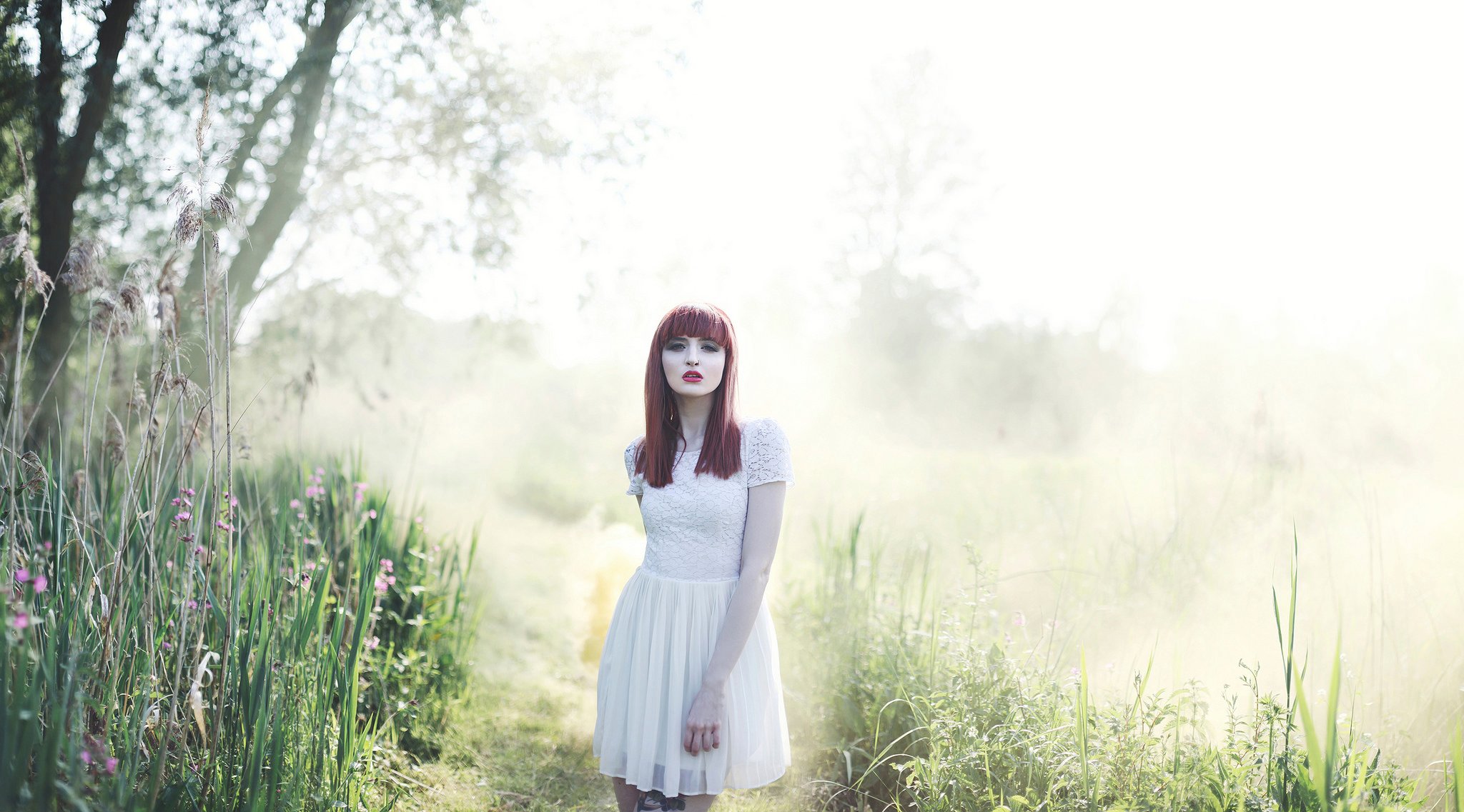 brume matinale rousse nature