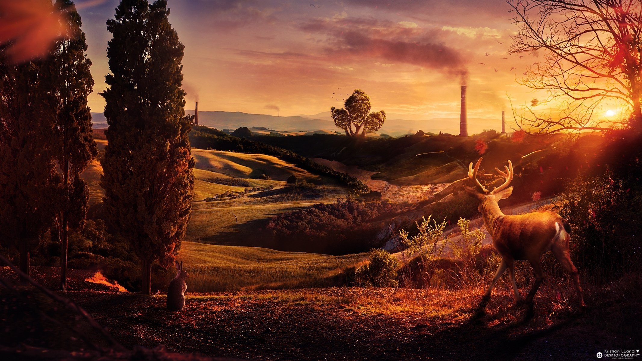 fringuello desktopography cervo tramonto tubi alberi colline