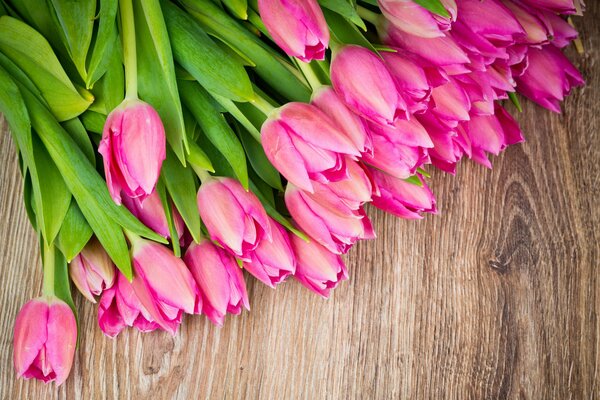 Ramo de tulipanes delicados rosados