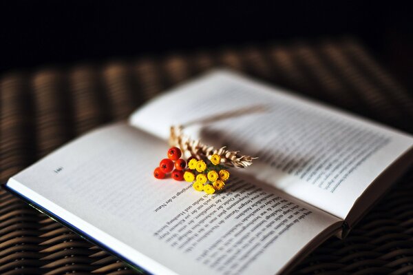 Blumen und Ährchen auf der geöffneten Seite des Buches