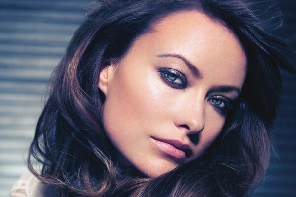 Le regard de la fille brune Olivia Wilde
