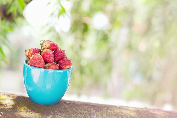 Fraises rouges dans une tasse bleue