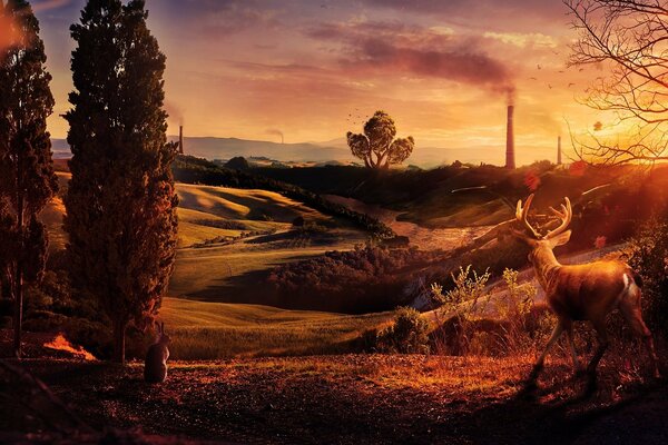 Cerf et lièvre sur fond de collines au coucher du soleil
