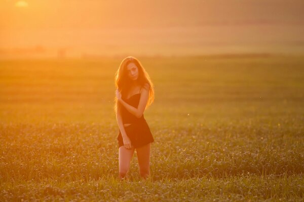 Mädchen in der Beleuchtung des Sonnenuntergangs auf dem Feld