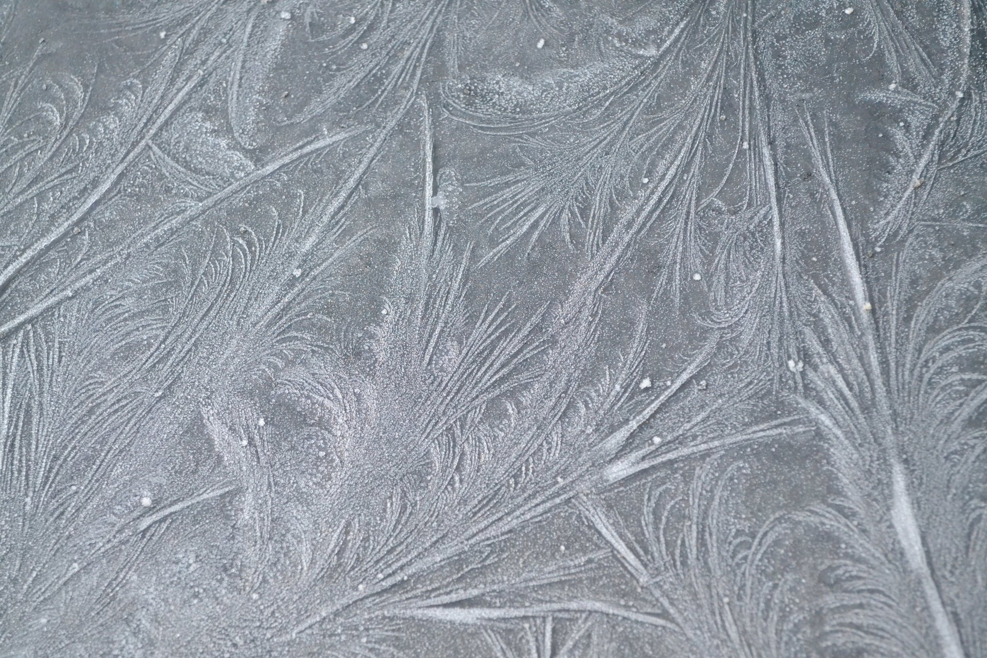 gel texture motifs lignes givre