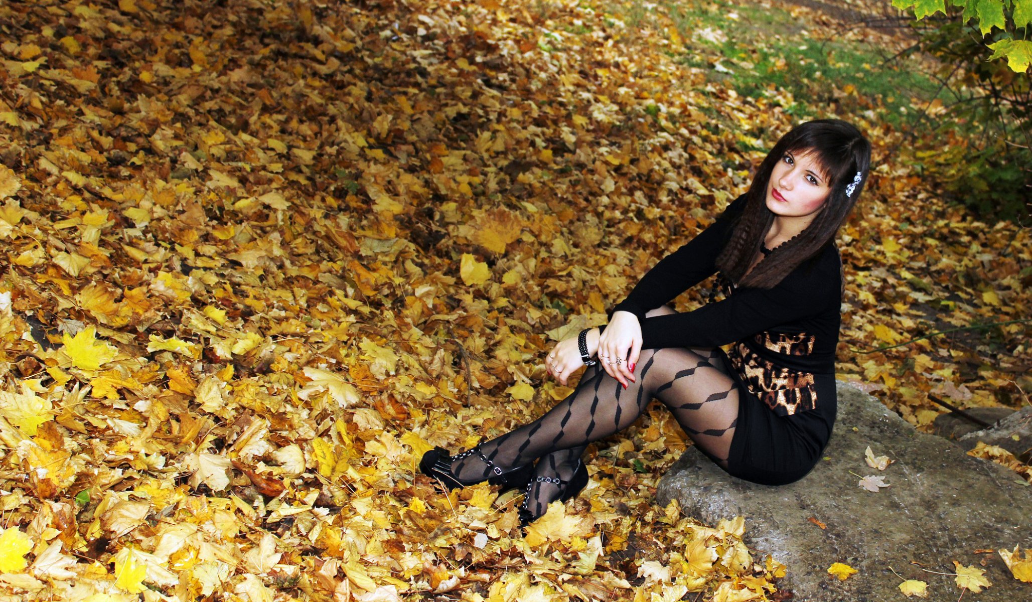 brown hair view dress stockings forest nature foliage autumn