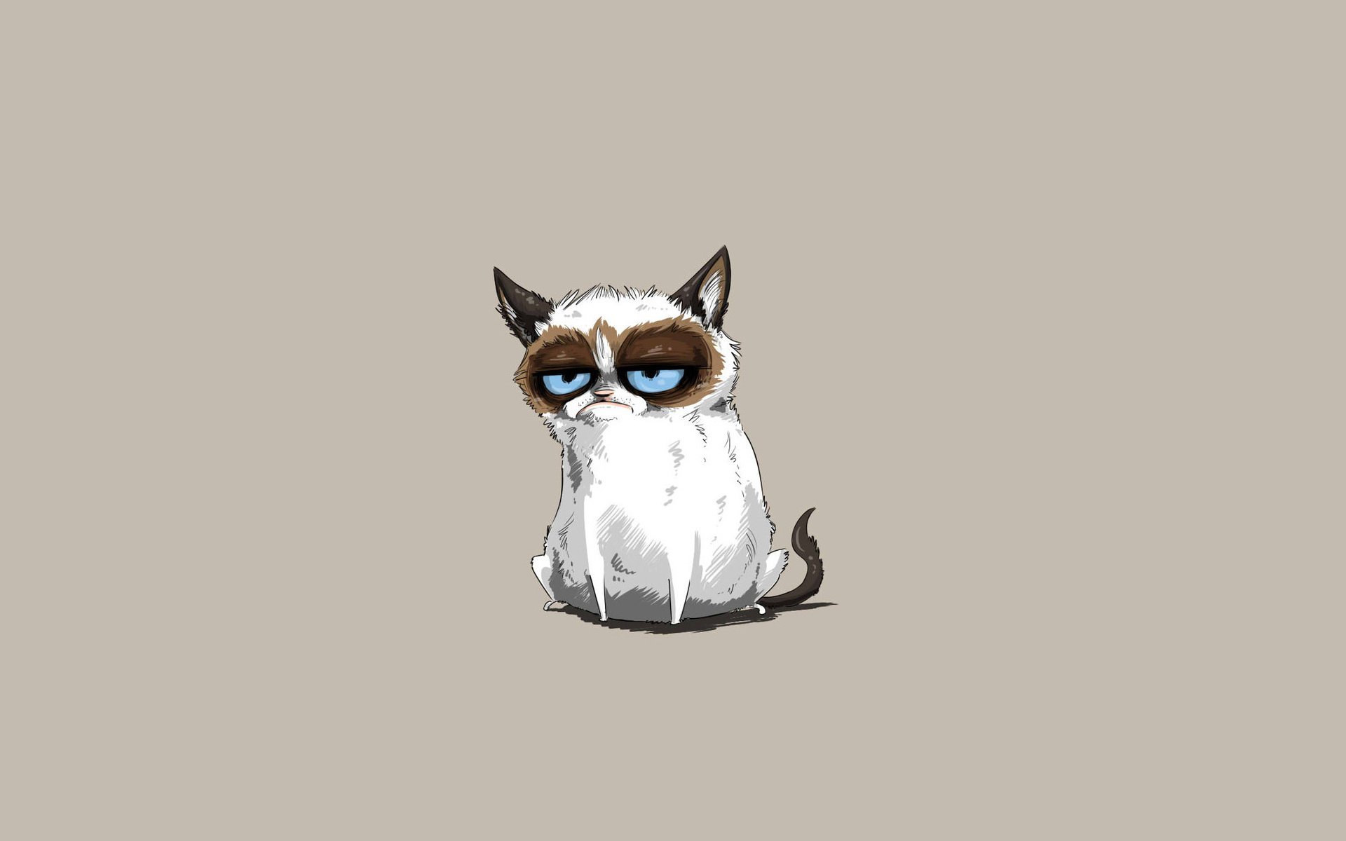 angry cat tardar sauce grumpy cat cat tardar sauce cat