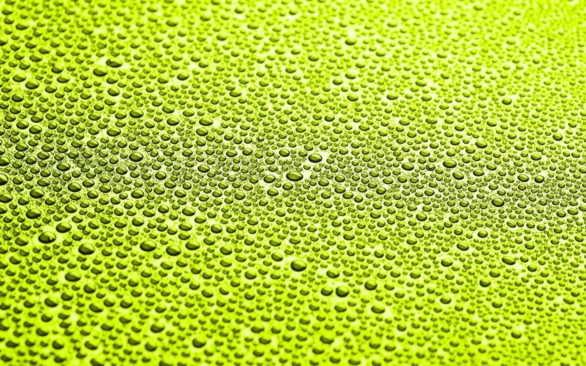 gouttes abstraction rosée eau vert papier peint