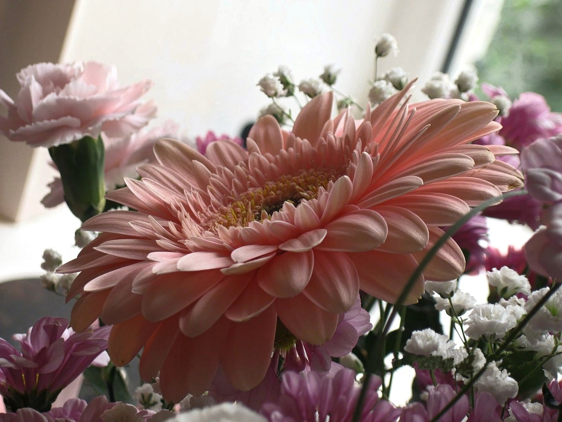 flowers bouquet gerbera pink