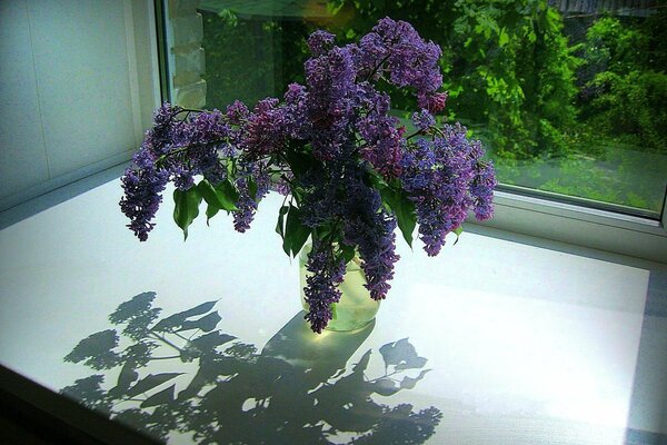 A bouquet of lilac stands on the windowsill