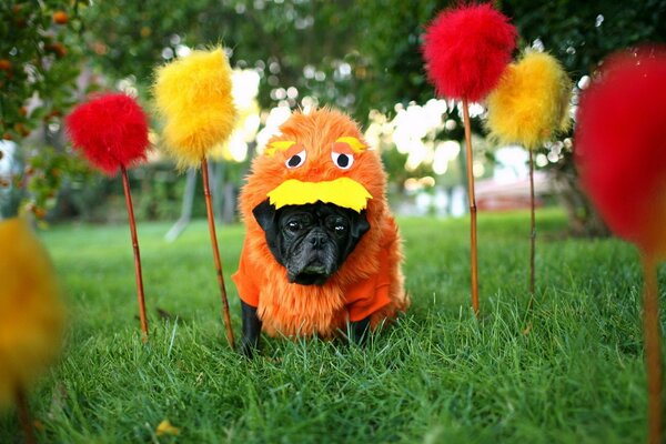 A black dog at a carnival in the grass