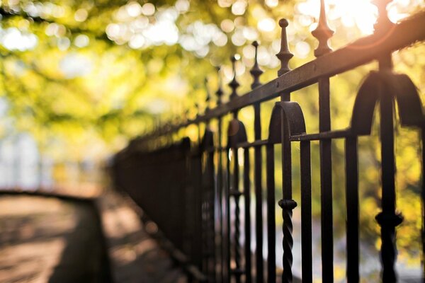 Blurred fence background green grass