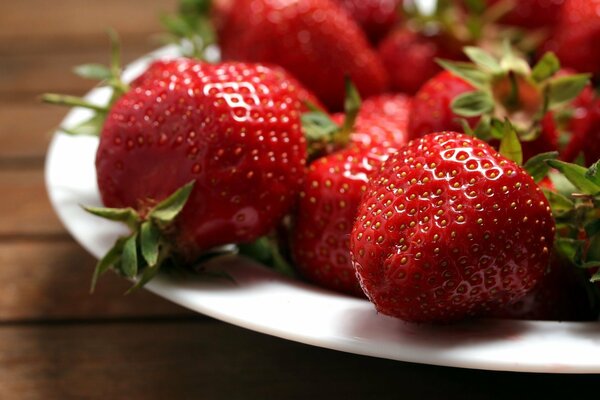 Fresas frescas en un plato blanco