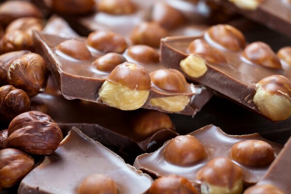 Chocolat au lait aux noisettes pour le dessert