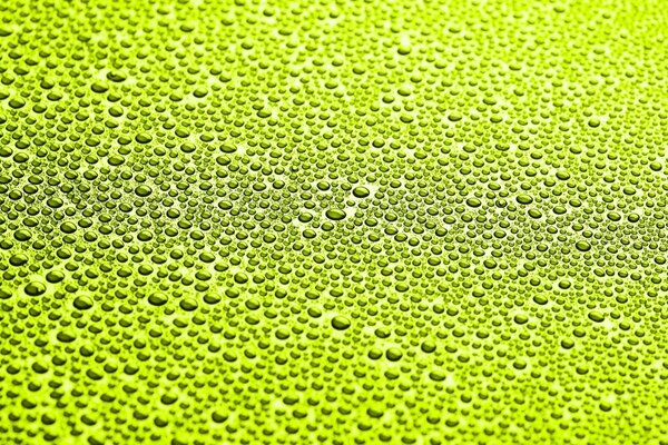 Dew drops on a green surface