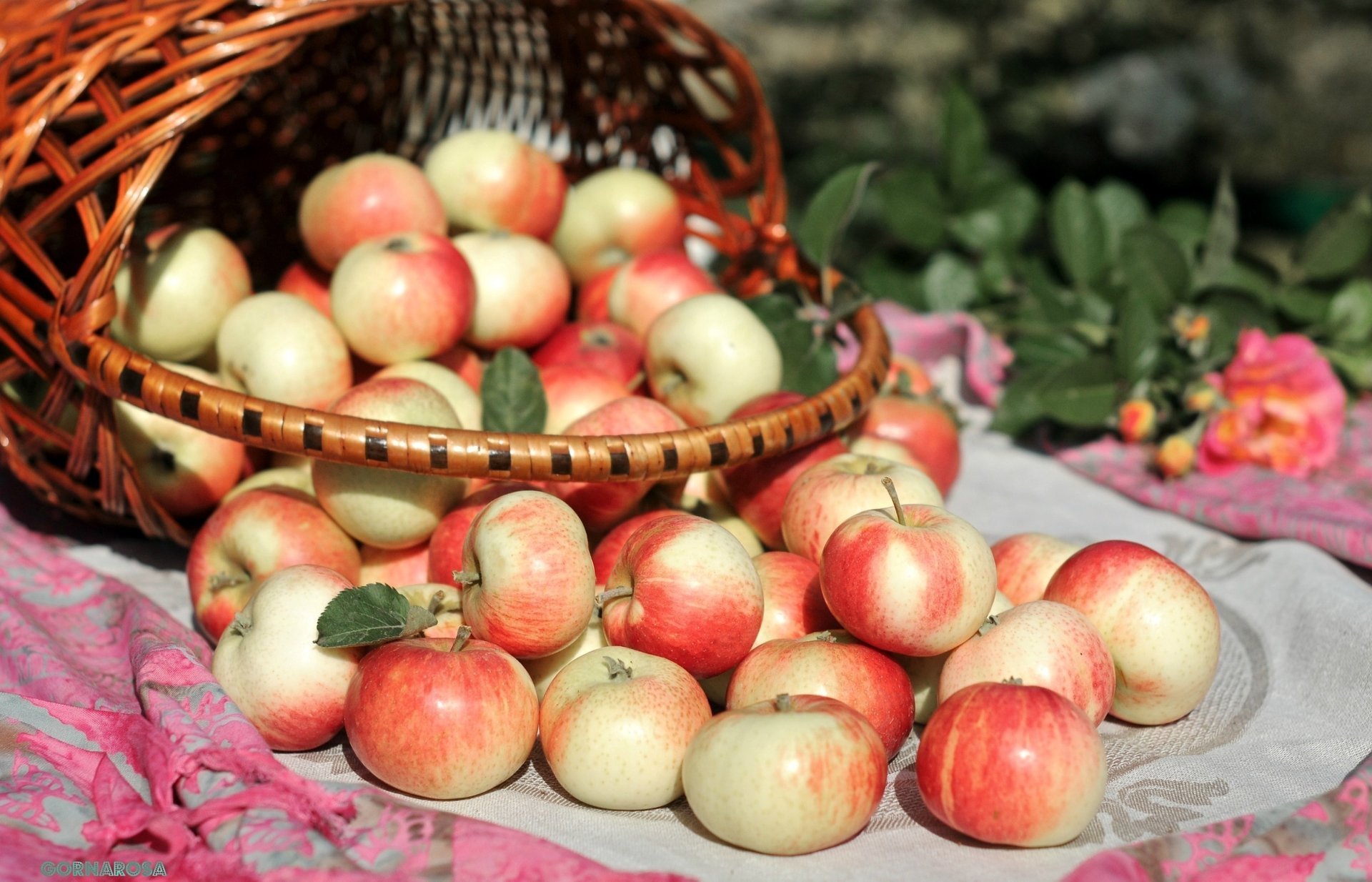 cesta cesta manzana manzanas papel pintado comida apple