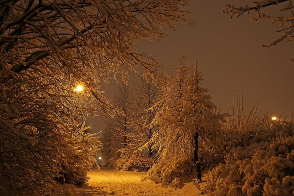 Winter Park on a snowy night in Reykjavik