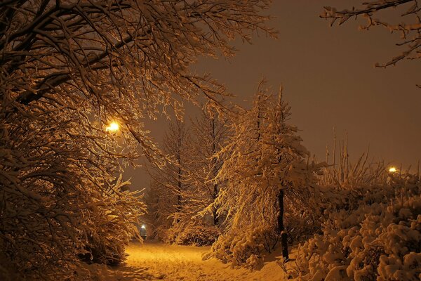 Зимний парк снежной ночью в Рейкьявике