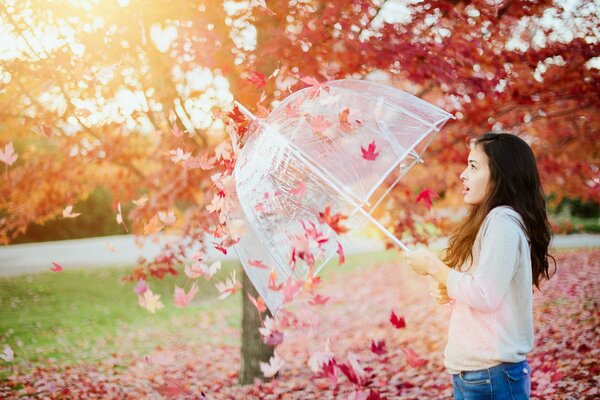 A girl with an umbrella among yellow leaves