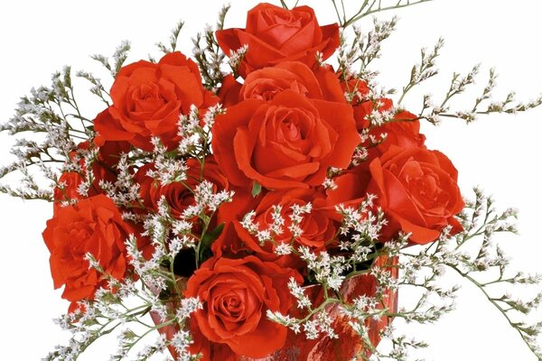 Bouquet di rose rosse con piccoli fiori bianchi sui ramoscelli