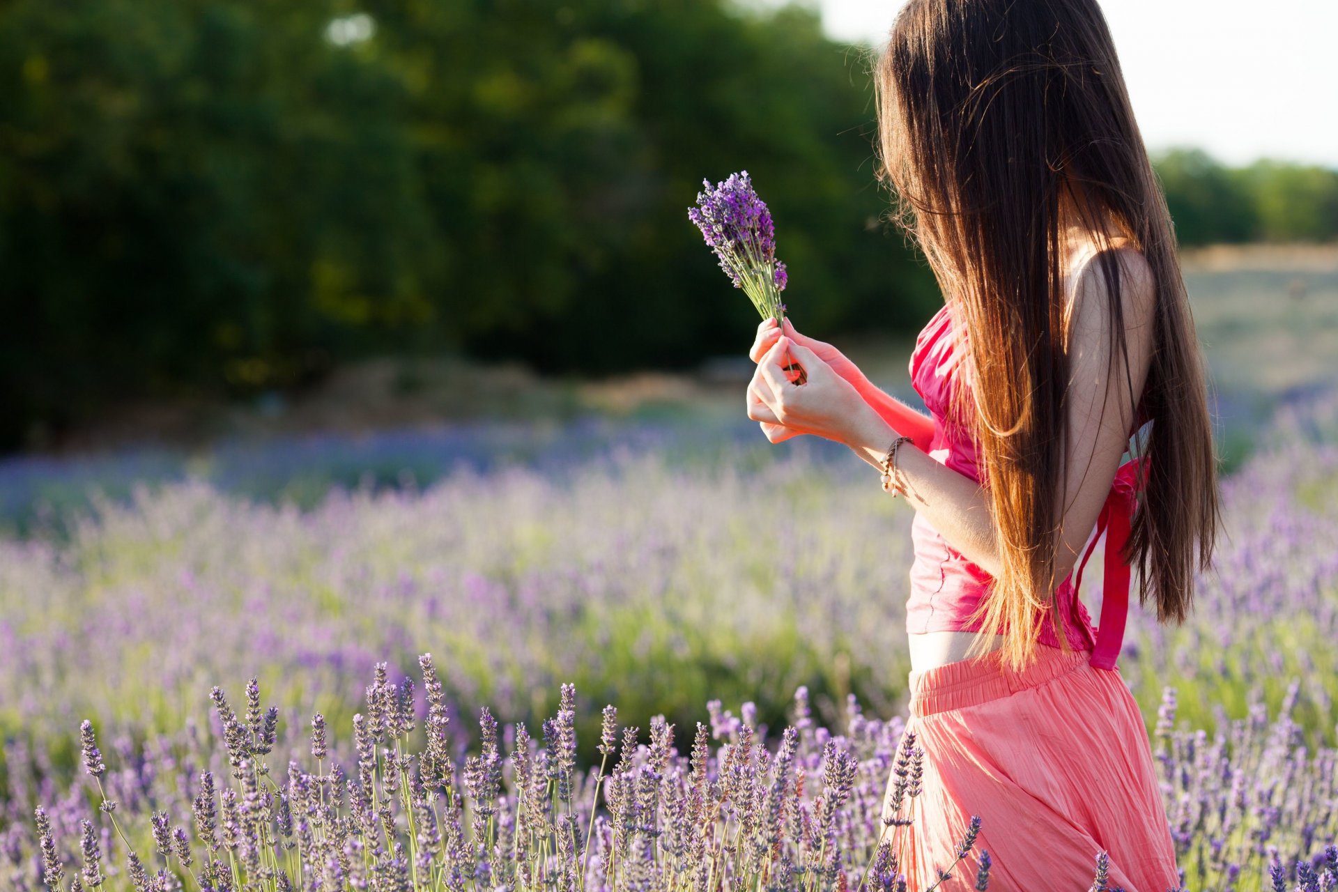 stati d animo ragazza bruna campo fiori viola mani natura alberi foglie sfondo widescreen schermo intero widescreen carta da parati